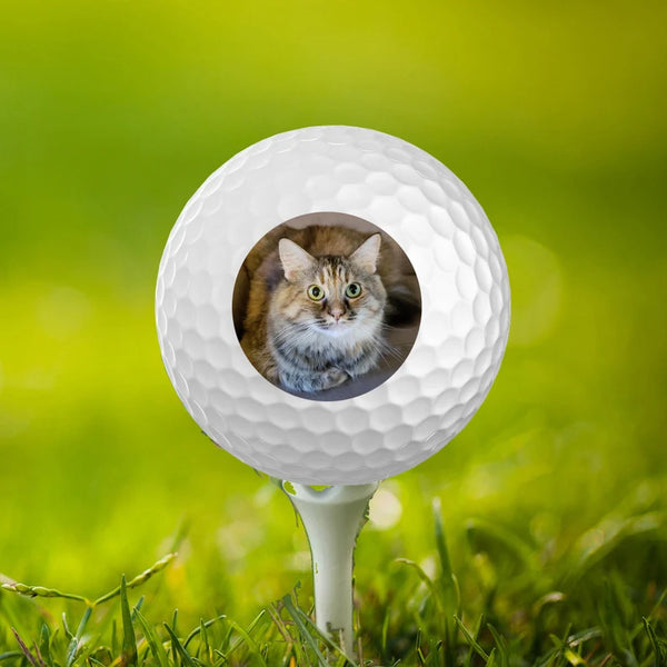 Pet Portrait Golf Ball